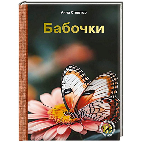 Фото Бабочки