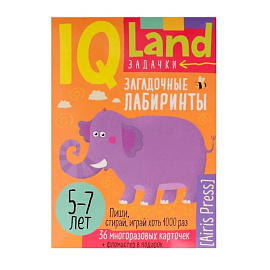 IQ Многоразовые карточки с маркером. 'Загадочные лабиринты'. 5-7 лет