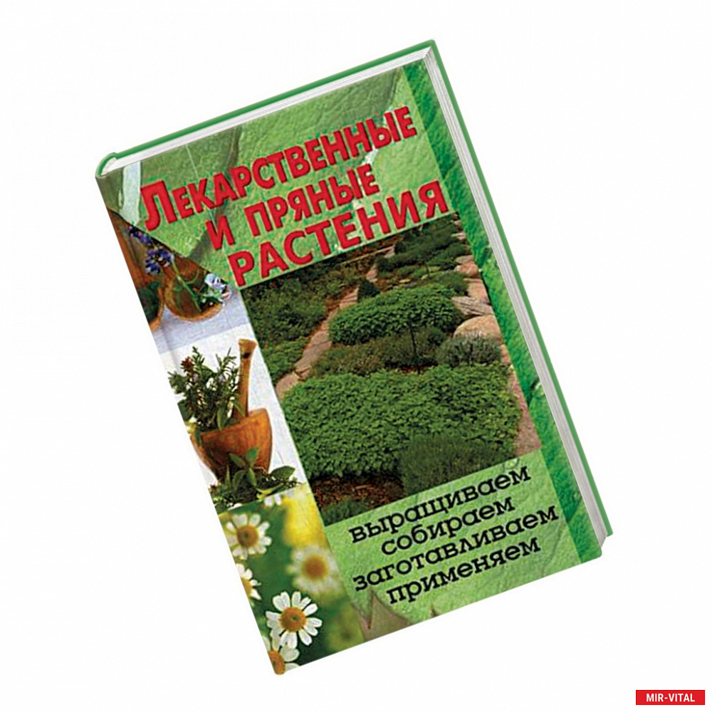 Фото Лекарственные и пряные растения. Выращиваем, собираем, заготавливаем, применяем