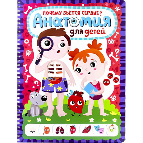 Фото Анатомия