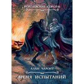 Время испытаний. Книга 2