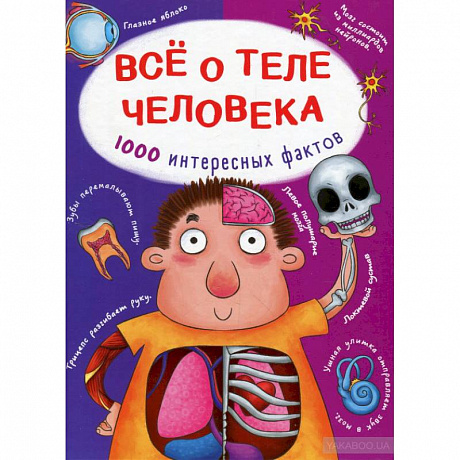 Фото Все о теле человека. 1000 интересных фактов