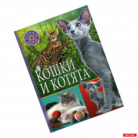 Кошки и котята