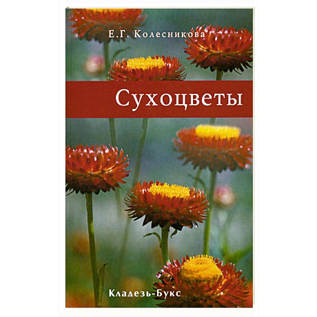 Фото Сухоцветы