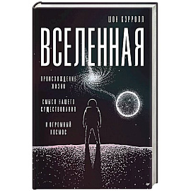 Вселенная. Происхождение жизни, смысл нашего существования и огромный космос