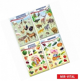 Комплект познавательных мини-плакатов 'Домашние, лесные животные, фрукты и ягоды, овощи'