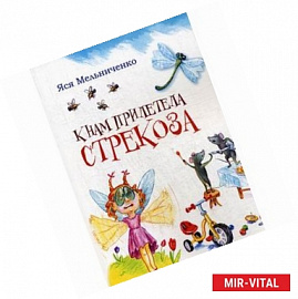 К нам прилетела стрекоза