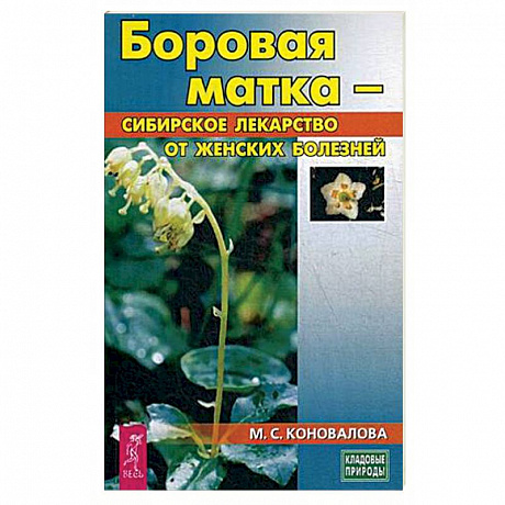 Фото Боровая матка - сибирское лекарство от женских болезней