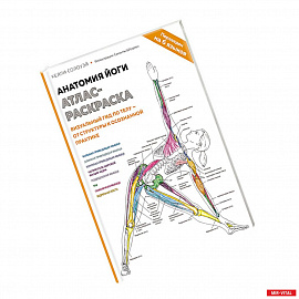 Анатомия йоги: атлас-раскраска. Визуальный гид по телу — от структуры к осознанной практике