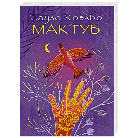 Фото Мактуб