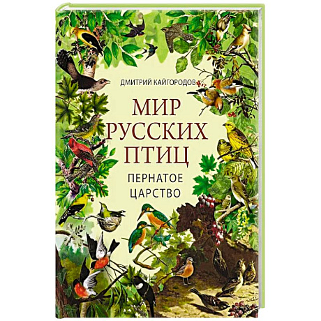 Фото Мир русских птиц. Пернатое царство