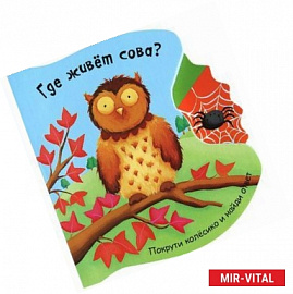 Где живет сова? Книжка-игрушка