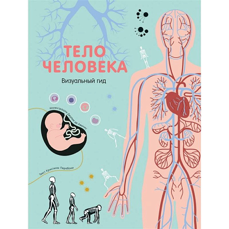 Фото Тело человека. Визуальный гид