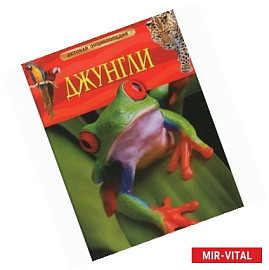 Джунгли