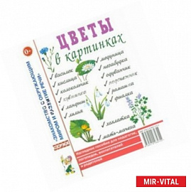 Цветы в картинках. Наглядное пособие для педагогов, логопедов, воспитателей и родителей