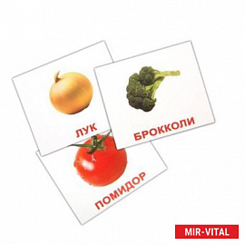 Комплект карточек мини 'Овощи' 8х10 см