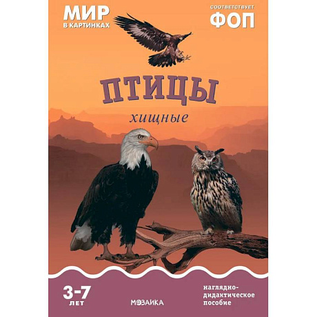 Фото Птицы хищные: Наглядно-дидактическое пособие