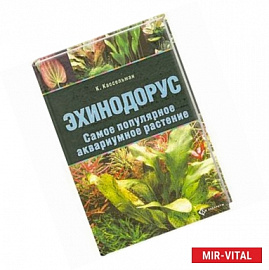Эхинодорус.Самое популярное аквариумное растение