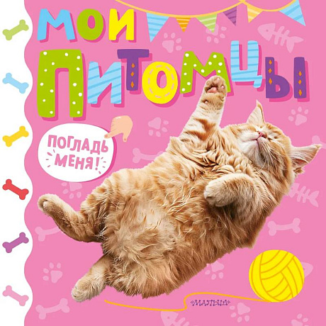 Фото Мои питомцы