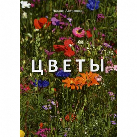 Фото Цветы