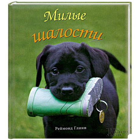 Фото Милые шалости