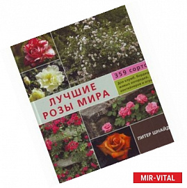 Лучшие розы мира