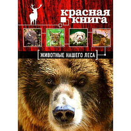 Красная книга. Животные нашего леса