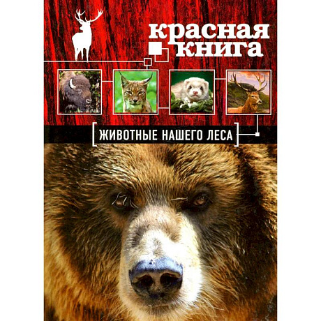 Фото Красная книга. Животные нашего леса