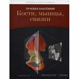 Лучевая анатомия. Кости, мышцы, связки