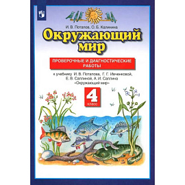 Окружающий мир. 4 класс. Проверочные и диагностические работы к учебнику Г.Г. Ивченковой и др.