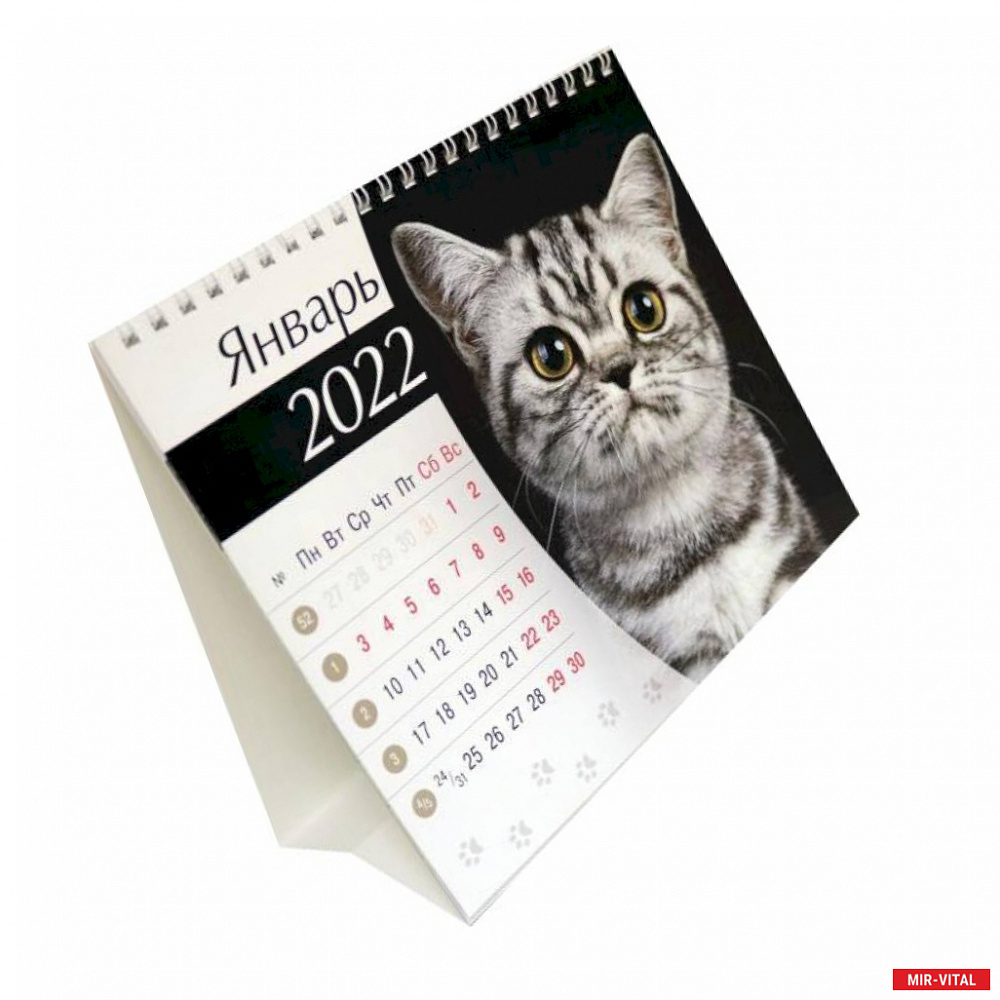 Фото Календарь-домик (евро) Кошки. 2022 год