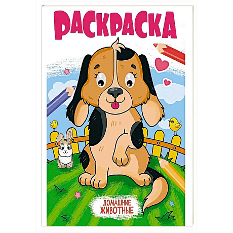 Фото Домашние животные