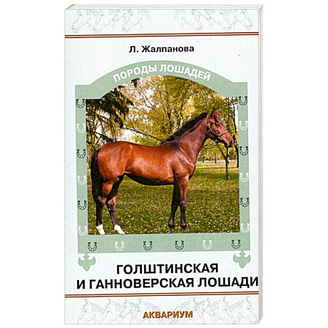 Фото Голштинская и ганноверская лошади