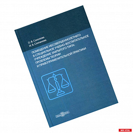 Помещение несовершеннолетнего в специальное учебно-воспитательное учреждение закрытого типа: проблемы теории и