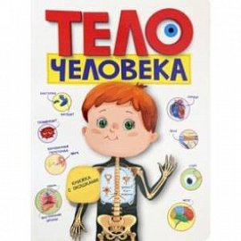 Тело человека