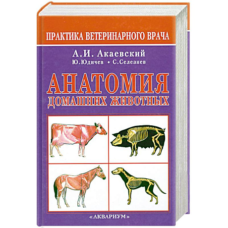 Фото Анатомия домашних животных
