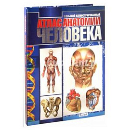 Большой иллюстрированный атлас анатомии человека