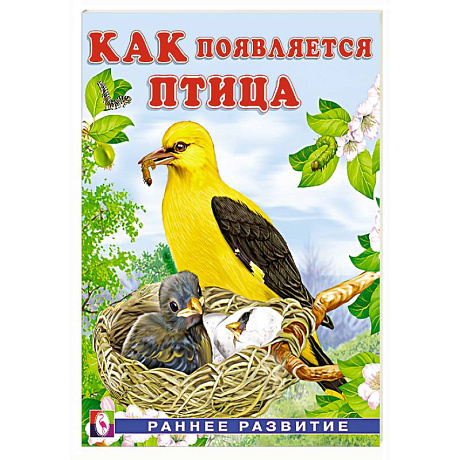 Фото Как появляется птица
