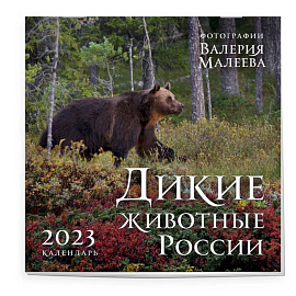 Дикие животные России. Авторские фотографии Валерия Малеева. Календарь настенный на 2023 год