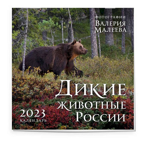 Фото Дикие животные России. Авторские фотографии Валерия Малеева. Календарь настенный на 2023 год