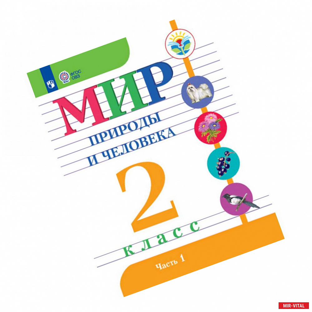 Фото Мир природы и человека. 2 класс. Учебное пособие для обучающихся с интеллектуальными нарушениями. В 2 частях. Часть 1.