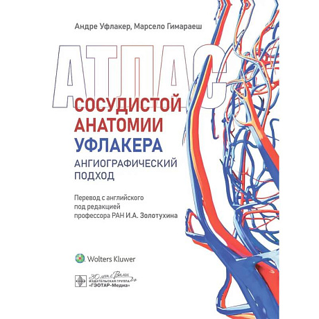Фото Атлас сосудистой анатомии Уфлакера. Ангиографический подход