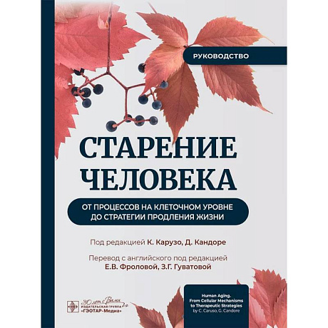 Фото Старение человека: от процессов на клеточном уровне до стратегии продления жизни: руководство