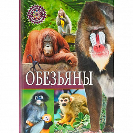 Обезьяны