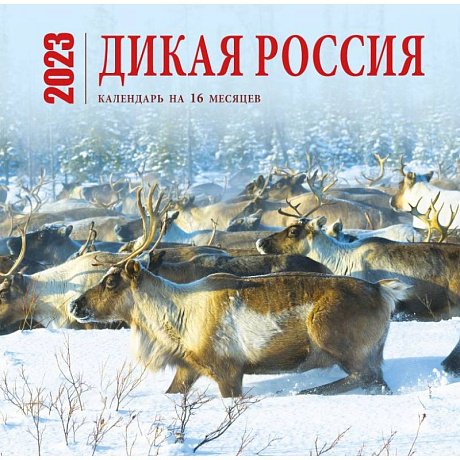 Фото Дикая Россия. Календарь настенный на 16 месяцев на 2023 год