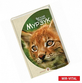 Мурзук