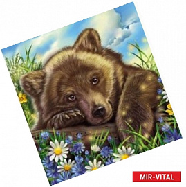 Медвежонок