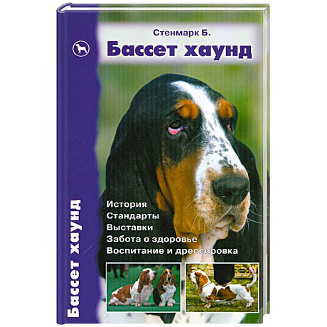 Фото Бассет хаунд