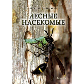 Лесные насекомые