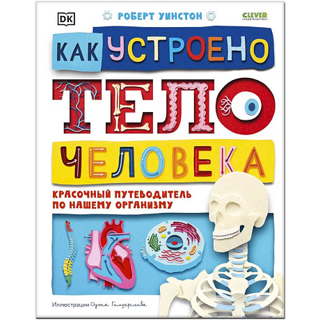 Фото Как устроено тело человека. Красочный путеводитель по нашему организму